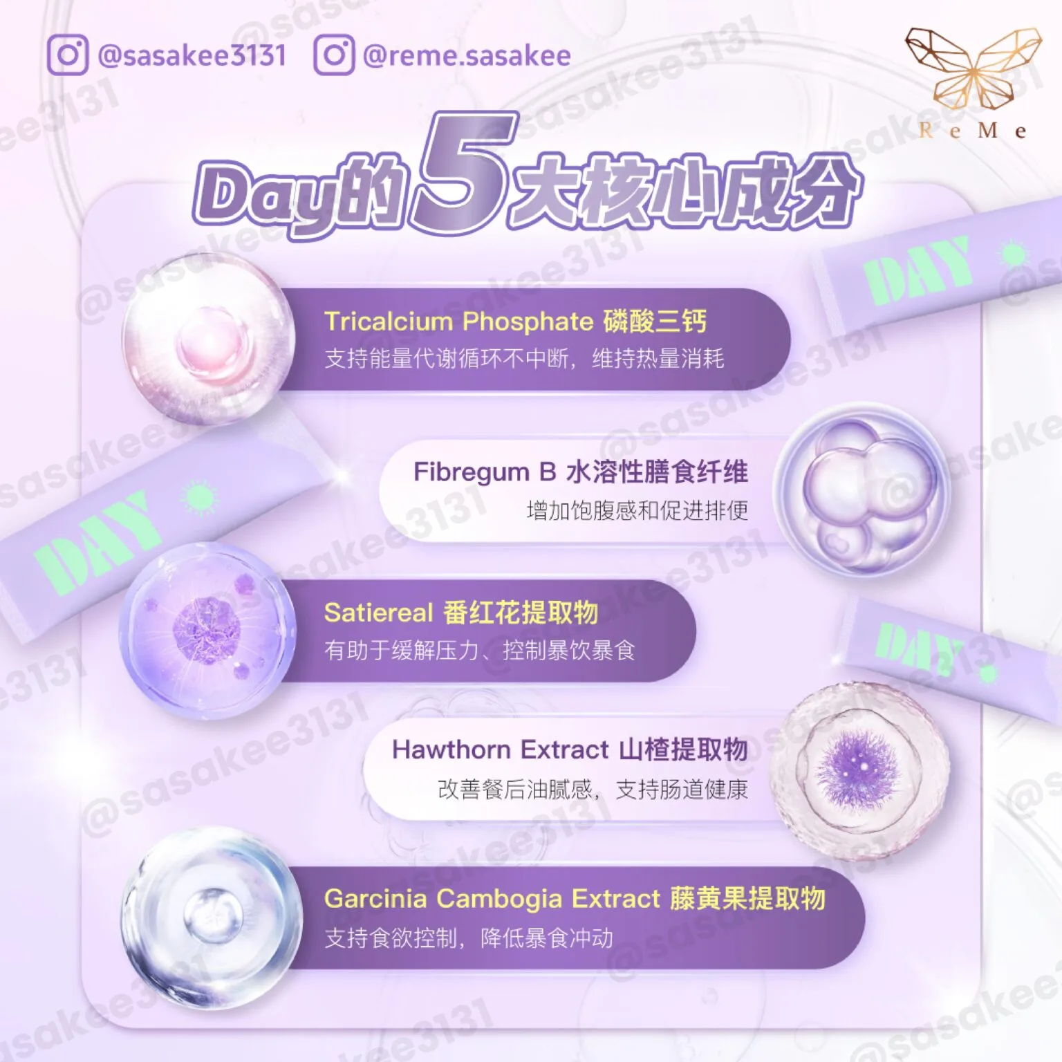 day night description img-4